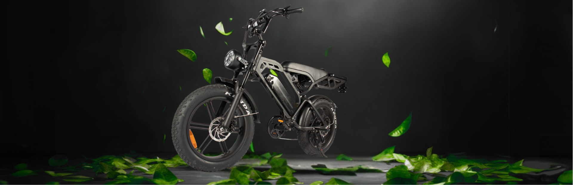 didisale banner 1920 x 620